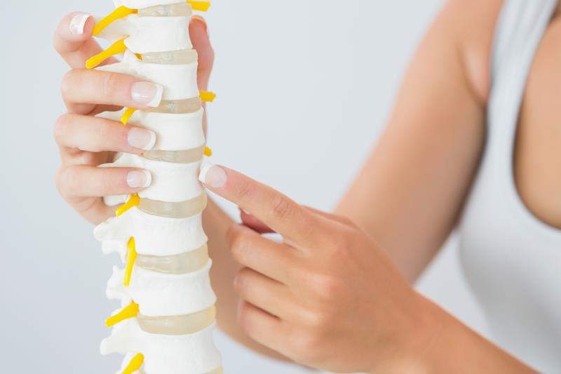 about our chiropractic office  Novi, MI