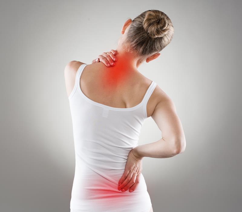 chiropractic services  Novi, MI