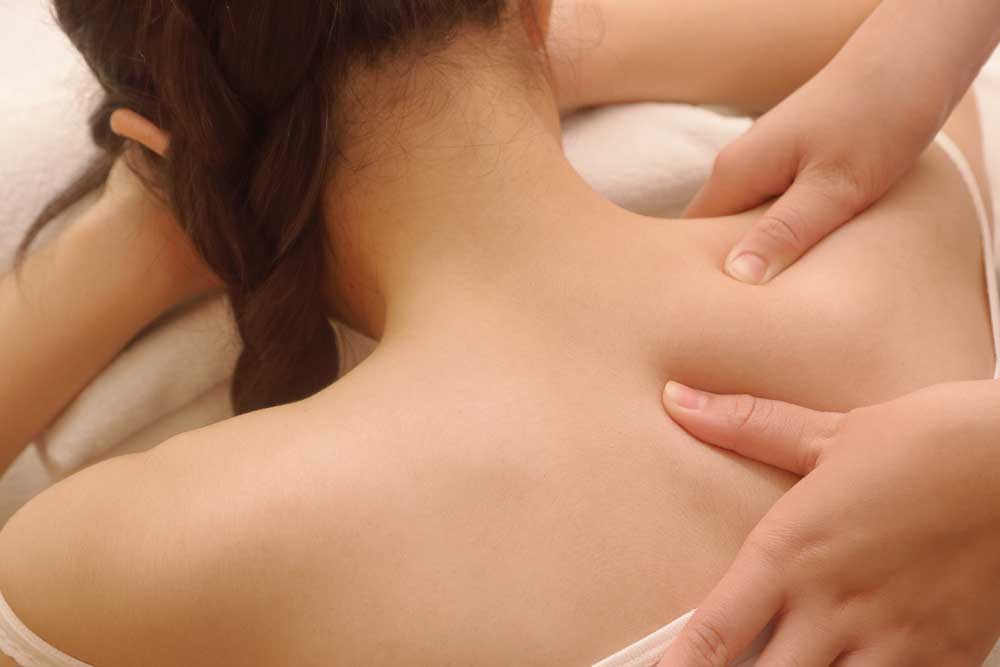 Massage Therapy  Novi, MI